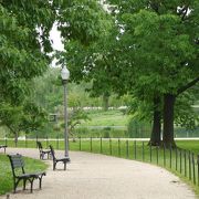 静かな池を囲む公園