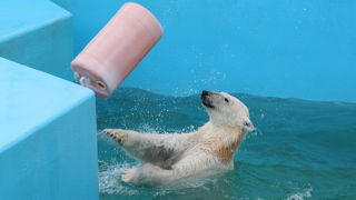 ミルクは相変わらず遊び上手でした。