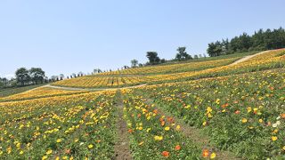 ペットOK！那須フラワーワールド