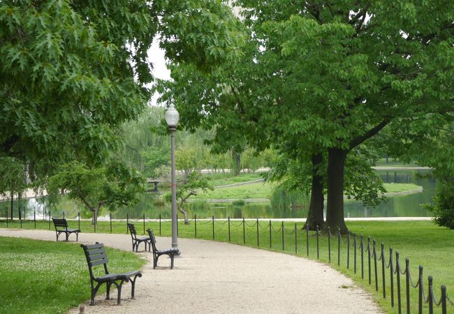 静かな池を囲む公園