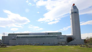 カレイの泳ぎが面白いです。