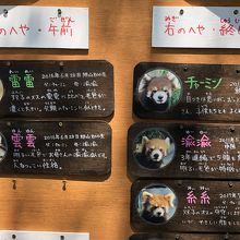 名前も可愛いの