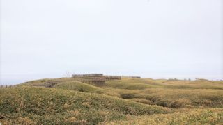 木道からは、動物はほとんど見られませんでした。