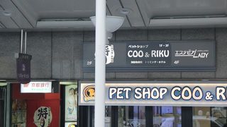 ボリュームがすごいですね