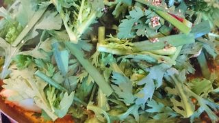 コーラ 恵比寿店