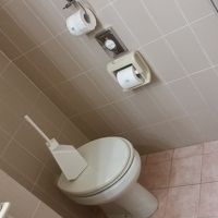 便器の上にブラシ