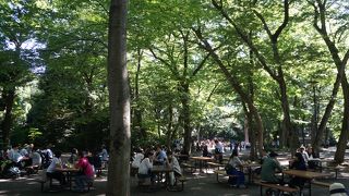 鳥類・魚類のエリアと動物のエリアがあります