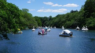 この季節だとボートが大盛況