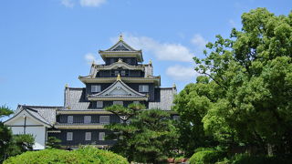 黒い姿に金の鯱鉾