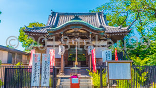 参拝している人はかなり疎らでした。