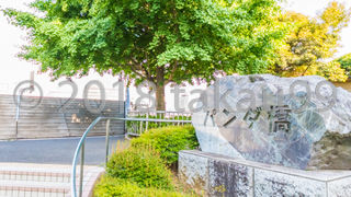 大きな陸橋です。