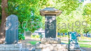 見学している人は誰もいませんでした。