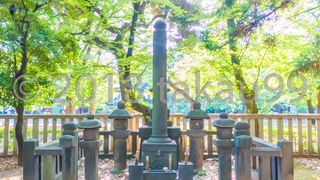 すこし薄気味悪い感じがしました。