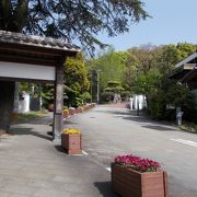 長崎最古の公園です。