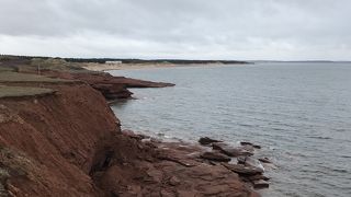 雨がぱらつくあいにくの日に