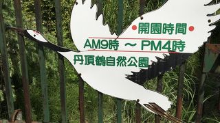 鶴の舞橋の近くで見つけました！