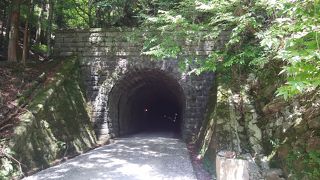 趣がある旧天城トンネル