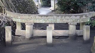 大正噴火で３分の２が埋没した鳥居