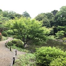 日本庭園の方が広い