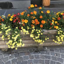 街中を飾る花
