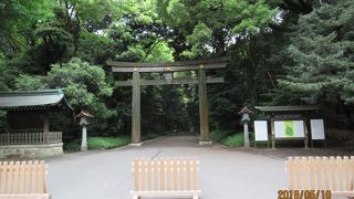 緑が多い。ここ東京か