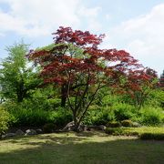 小川の流れもあったりする潤いある公園