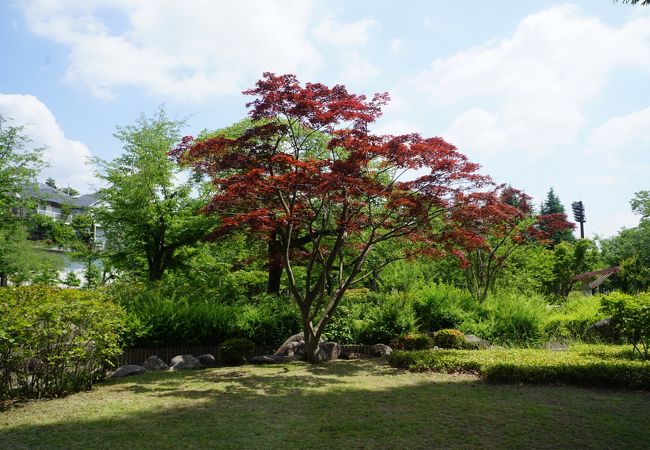 小川の流れもあったりする潤いある公園