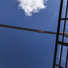 檻の中にある木を登りこの橋を渡って