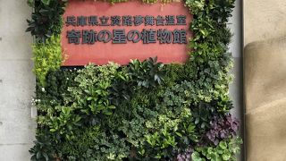 行ってみる価値アリ！