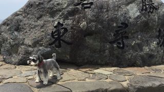 犬連れOKが嬉しい