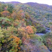 胎内川が作る渓谷．紅葉が有名です．