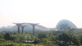 壮大なスケール！植物園というよりは公園！