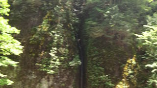 自然の神秘を感じます