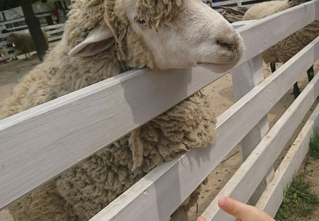 福岡県の動物園 クチコミ人気ランキングtop10 フォートラベル 福岡県の動物園 クチコミ人気ランキングtop10 フォートラベル