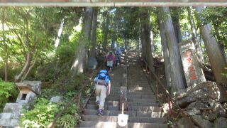 登りの登山道は結構ハード