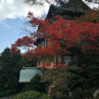 最高の紅葉とともに