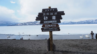 白鳥が常にいる印象・・・