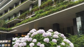 東京スクエアガーデン