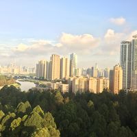 窓からの風景 最高