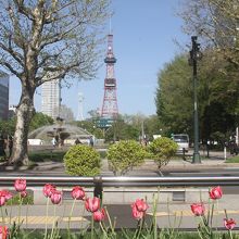 メイン会場になっている＜大通公園＞