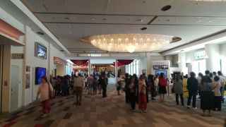 大人の雰囲気になっていました