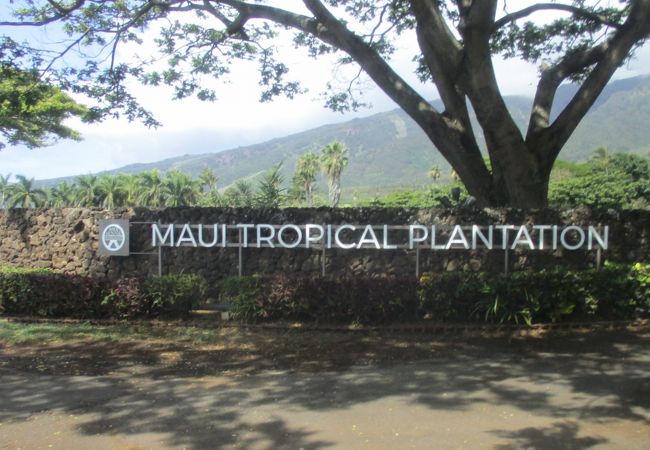 広大な敷地にハワイの主な農産物が一堂に集められたプランテーションで、品ぞろえ豊富なギフトショップなどもありました。