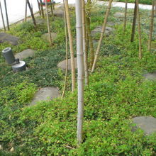 江戸幕府蔵屋敷の礎石は、大小の礎石があり、柱や床を支えていた