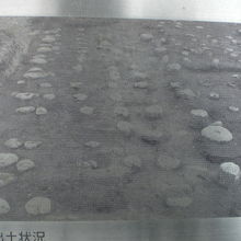 竹林が無い、出土当時の江戸幕府蔵屋敷の礎石の配置の写真です。