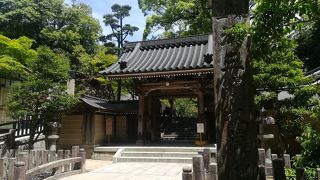 大きくないですが左右に拡がった門