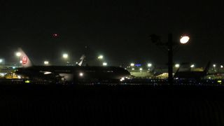 航空機を眺めるにも桜を観るにもちょっと中途半端。