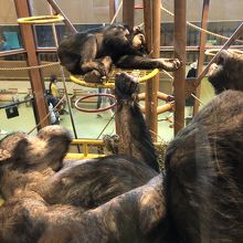 お父さんが息子を見ているみたい