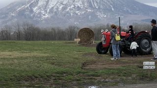 新鮮野菜・スイーツおしゃれ雑貨・　そしてのんびり・・・