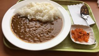 ガンジスカレー一押しの宮崎空港カンナ