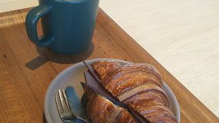 朝の時間帯がおすすめ